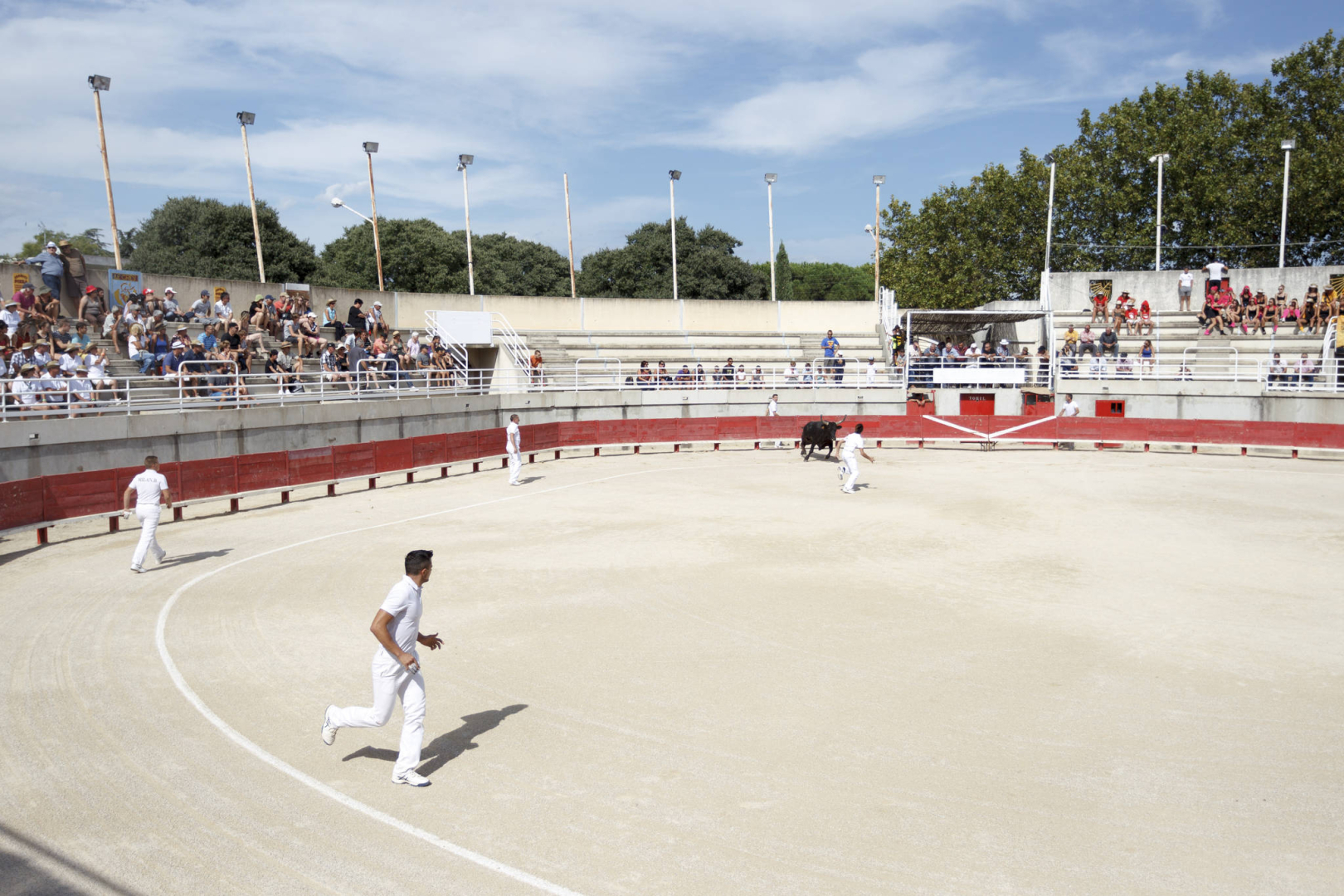 Le trophée taurin 3M sera de retour aux arènes du Crès le 6 juillet !