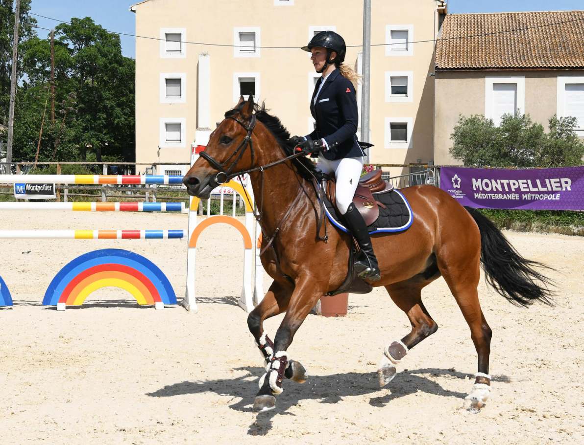 un cavalier en course