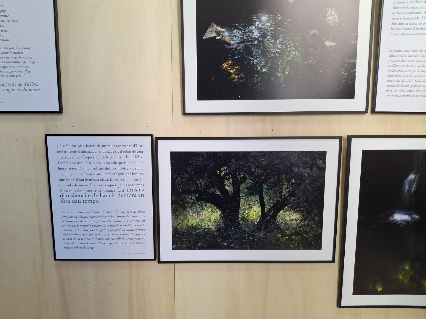 Exposition des photos de Georges Souche