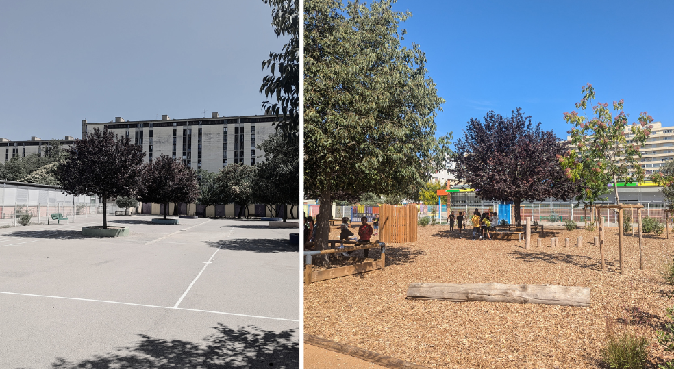 photo de la cour de récréation avant et après rénovation et végétalisation 