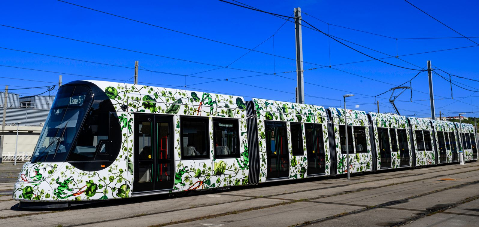 Image de la ligne 5 de tramway