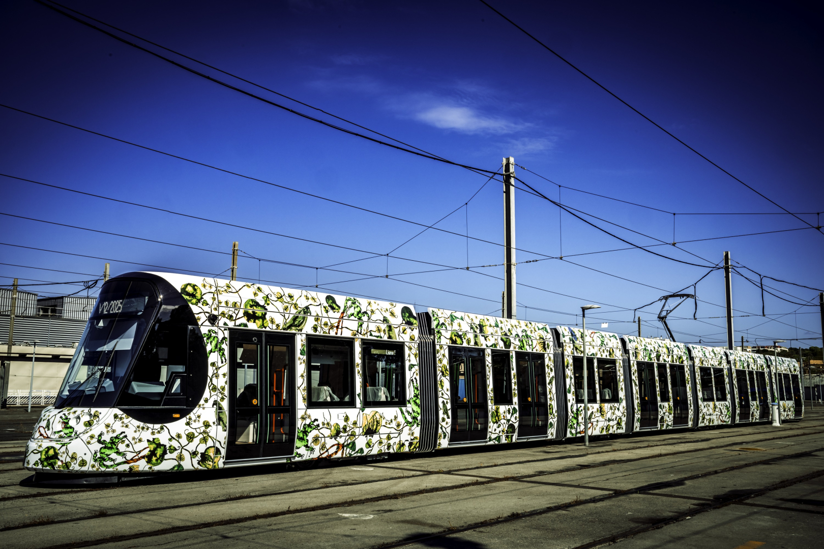 ligne 5