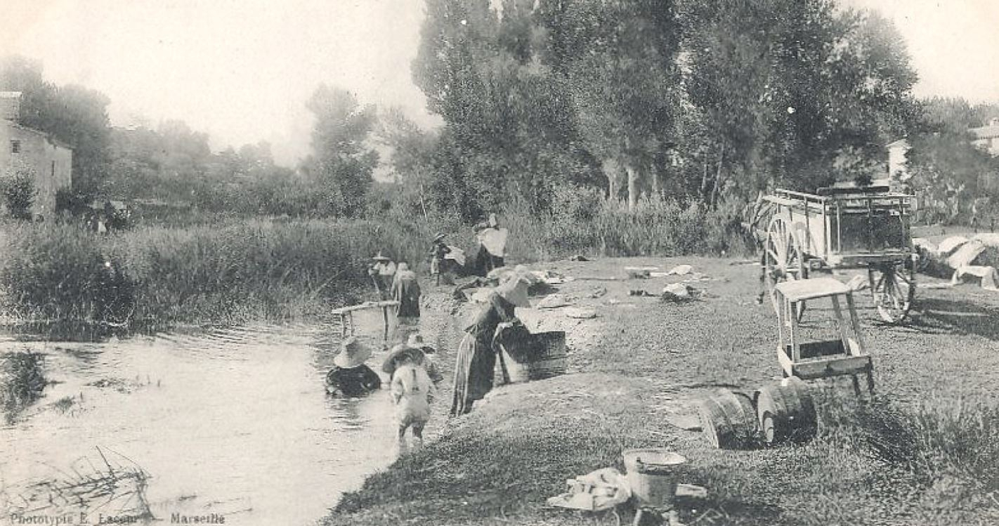 Vue des lanvadières sur le Lez