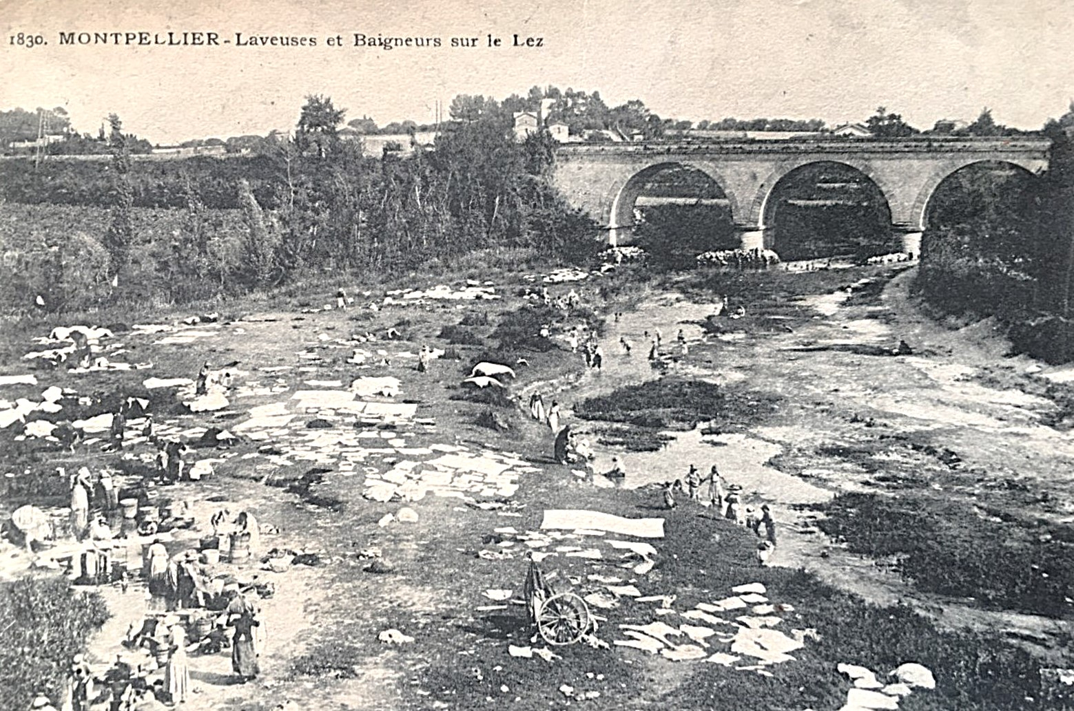 Le spectacle du linge séchant des lavandières en bord de Lez