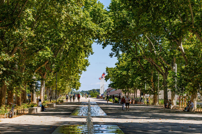 arbres jets d'eau de l'Esplanade perspective ombragée jusqu'au Corum