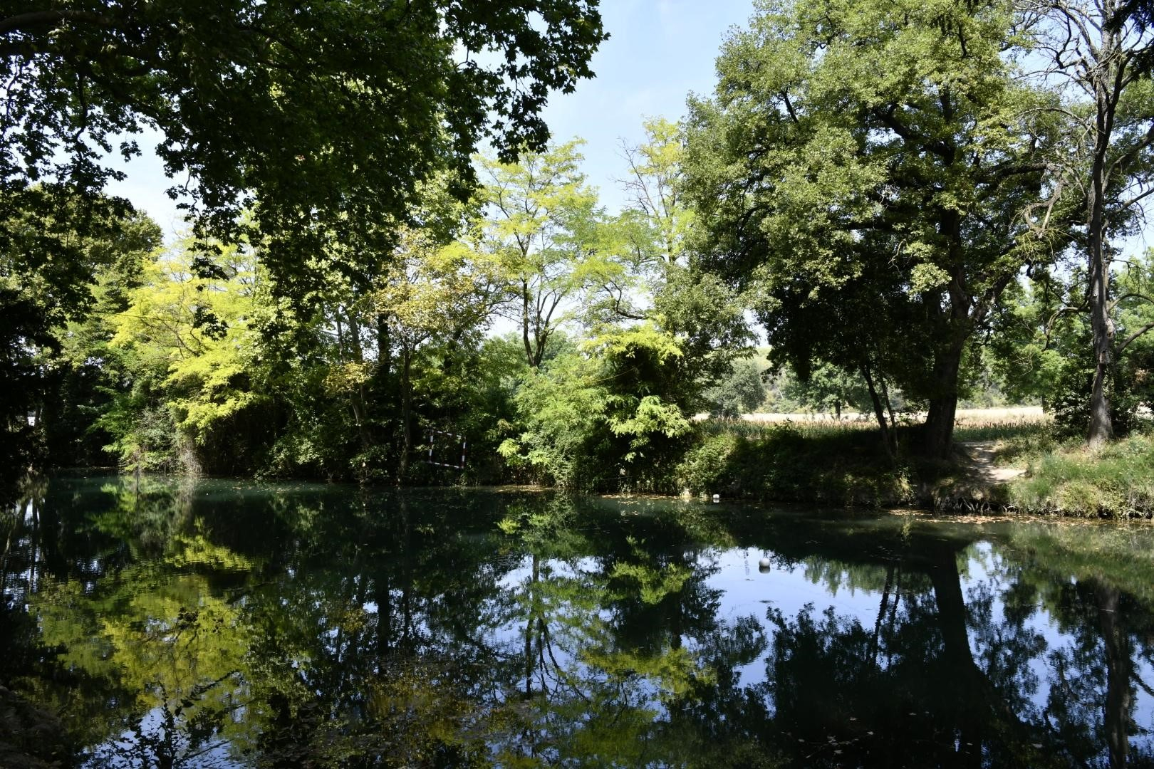 Berges du Lez