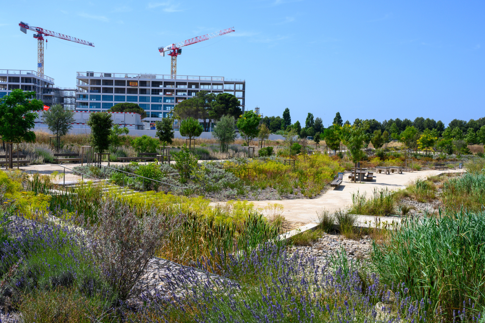 Parc