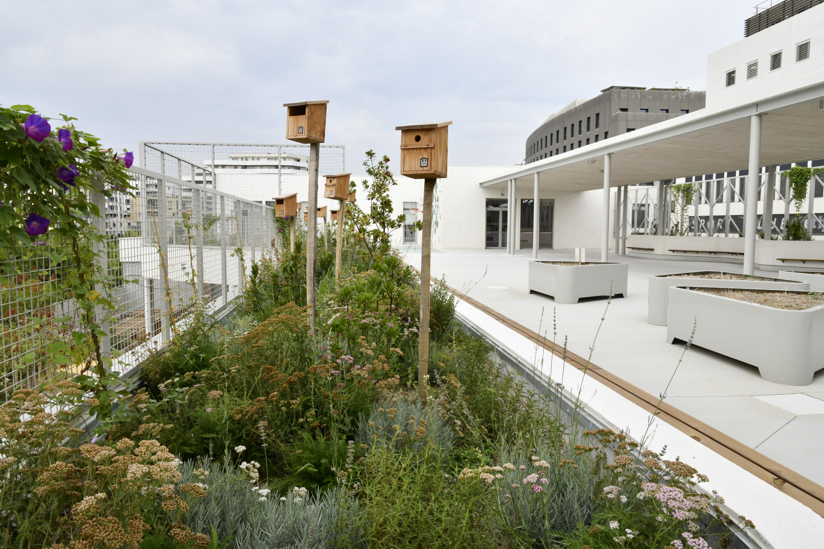 végétation potager pédagogique nichoirs bâtiments 
