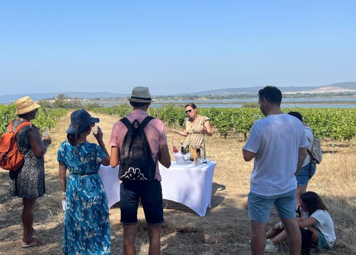 Ce mardi c'est dégustations au coeur des vignes
