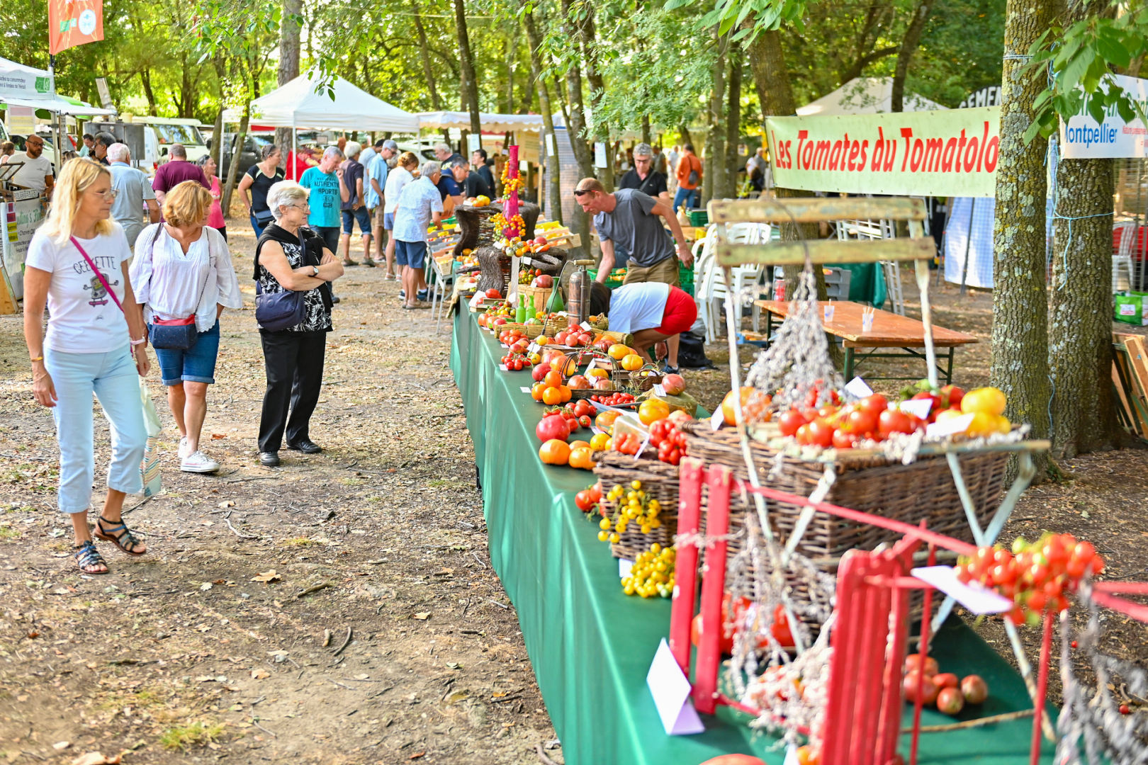 etalage de tomates