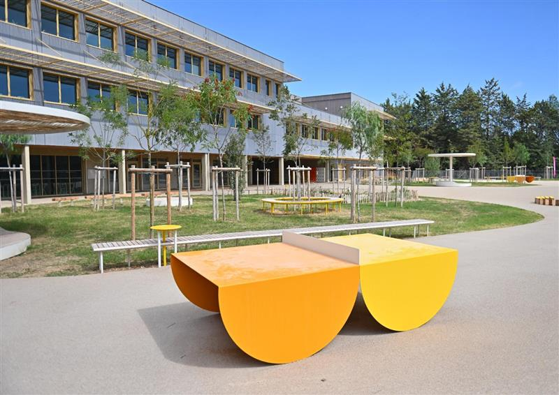 Table de ping pong design dans la cour
