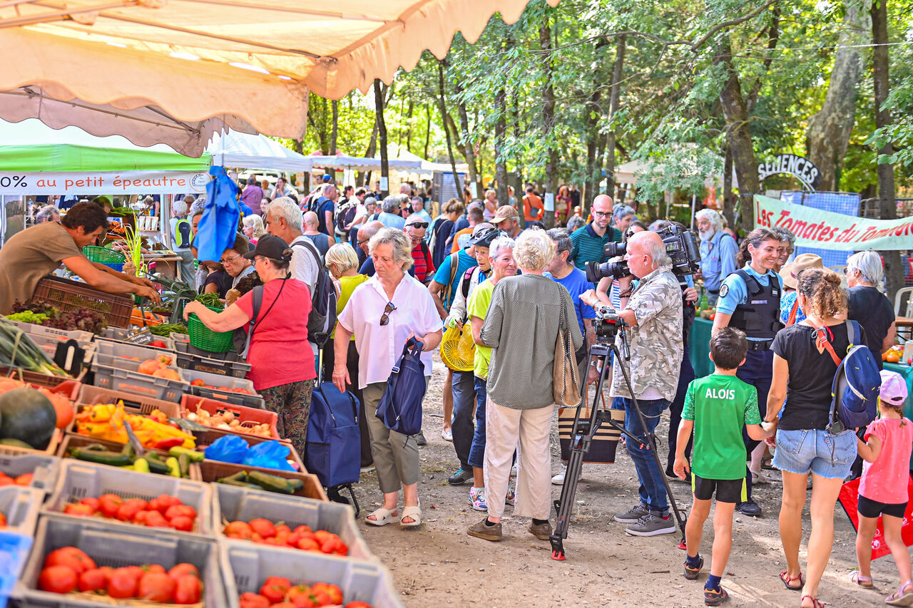 marché du festival de la tomate