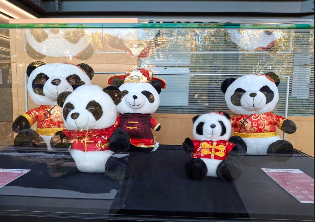 Ours du Sichuan