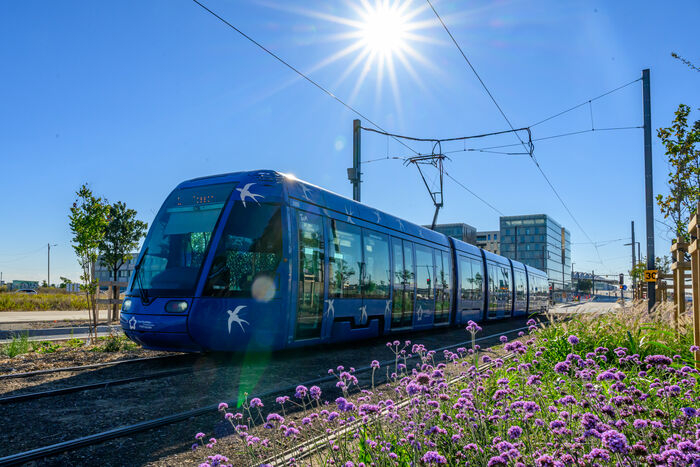tramway ligne 1 sous le soleil pendant les essais, pilones, fleurs, batiments et gare en arrière-plan
