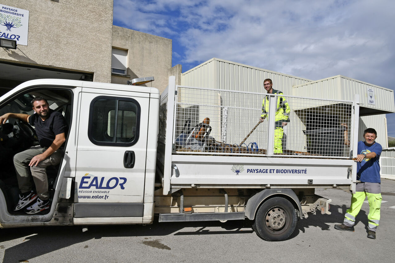 Ealor, entreprise adaptée