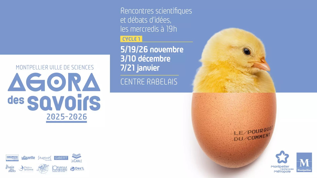 Visuel Agora des Savoirs 2025/2026 - Un poussin sortant de l'oeuf