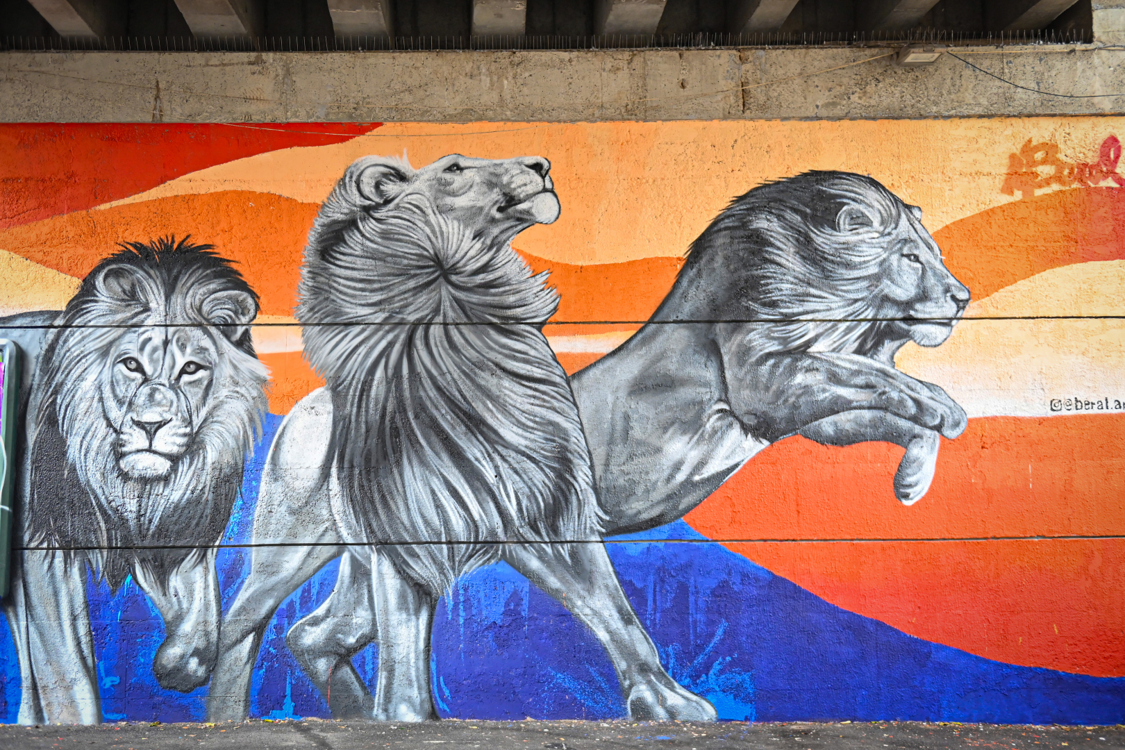 fresque murale avec des lions et des couleurs vives 