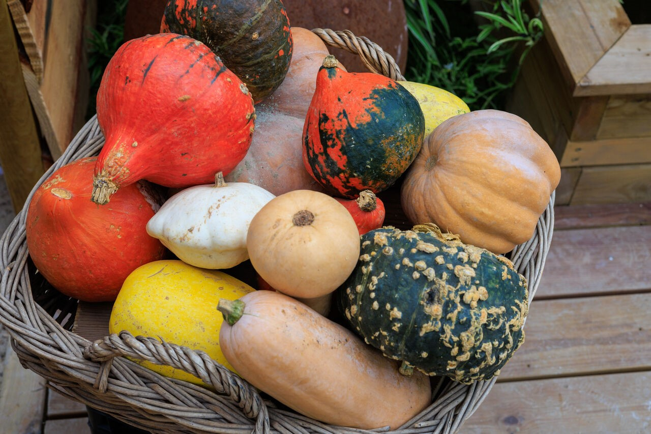 fete de la courge