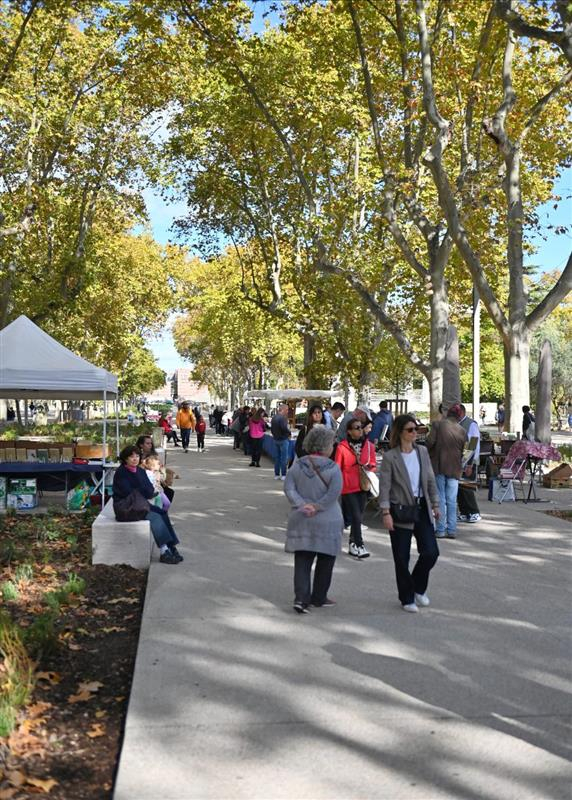 allée centrale de l'Esplanade