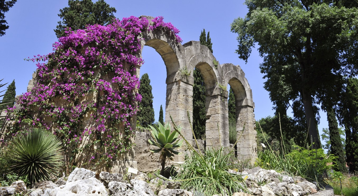 Vue du jardin des plantes