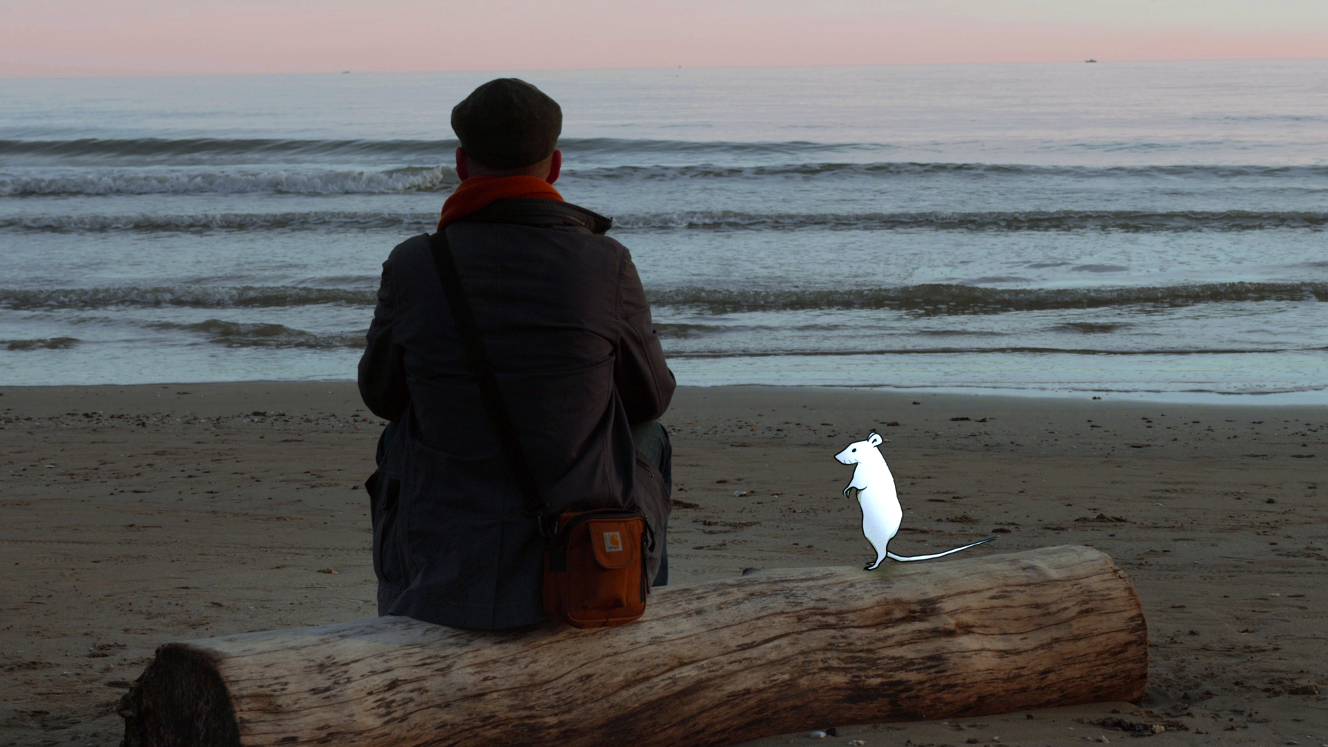 Sur la plage de Carnon, extrait du documentaire