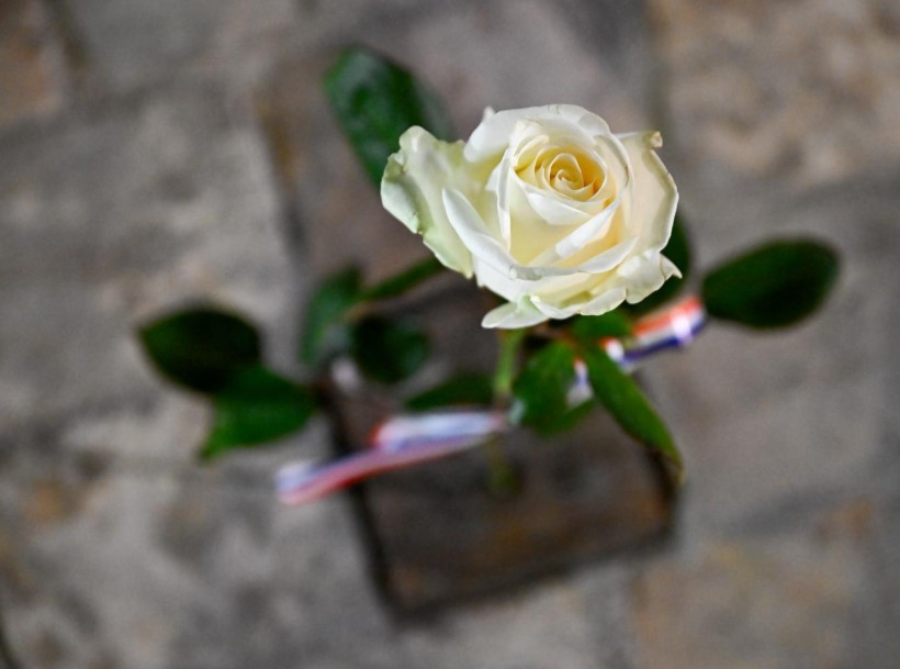 Une rose pour chaque pavé