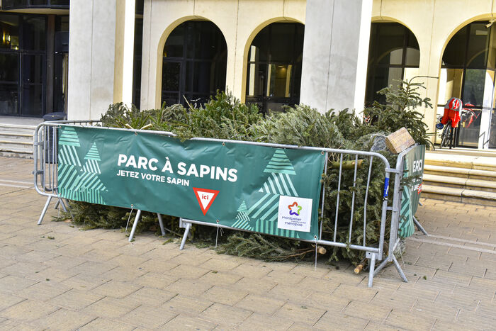 Parc à sapins dans le quartier Antigone 