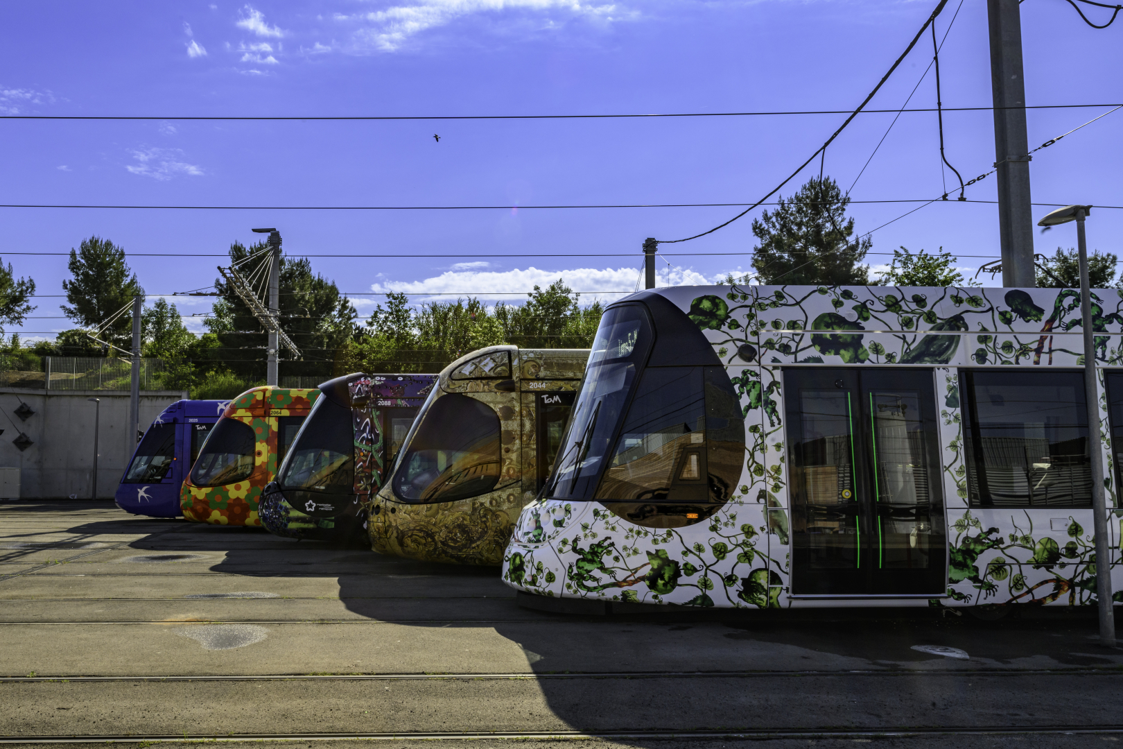 Cinq lignes de tramway, cinq oeuvres d'art !