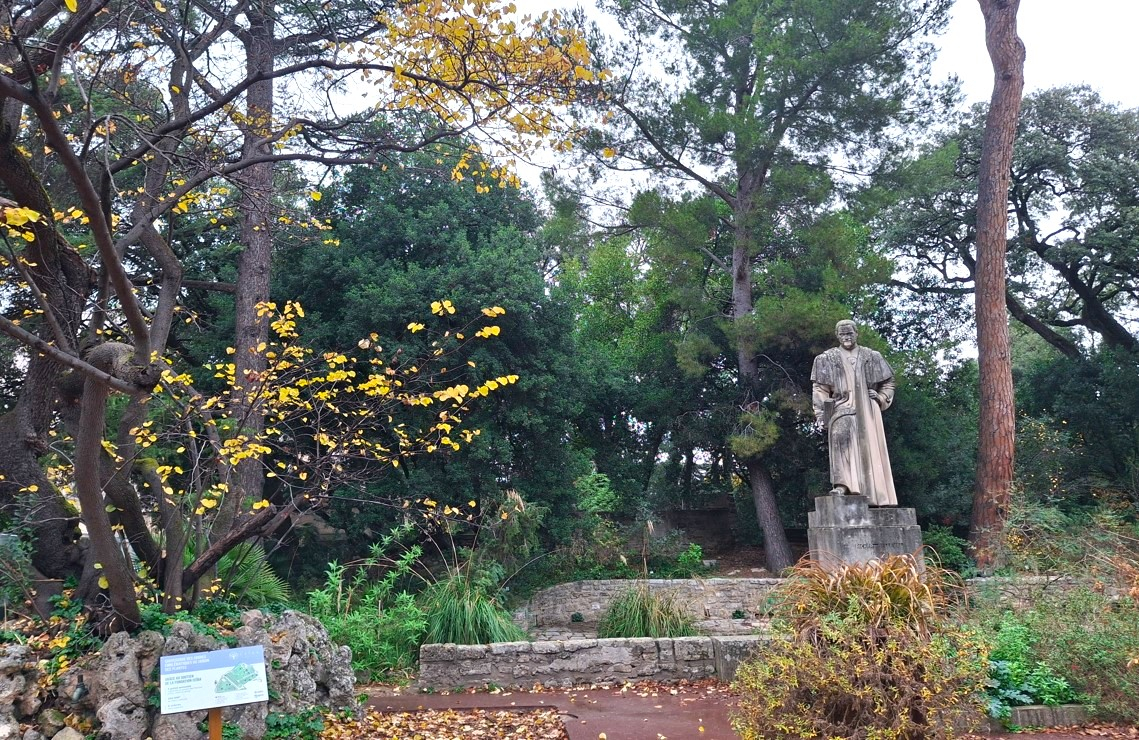 Statue de Richer de Belleval et l'arbre de judée, l'un des deux plus vieux arbres du Jardin des Plantes, datant de plus de 400 ans
