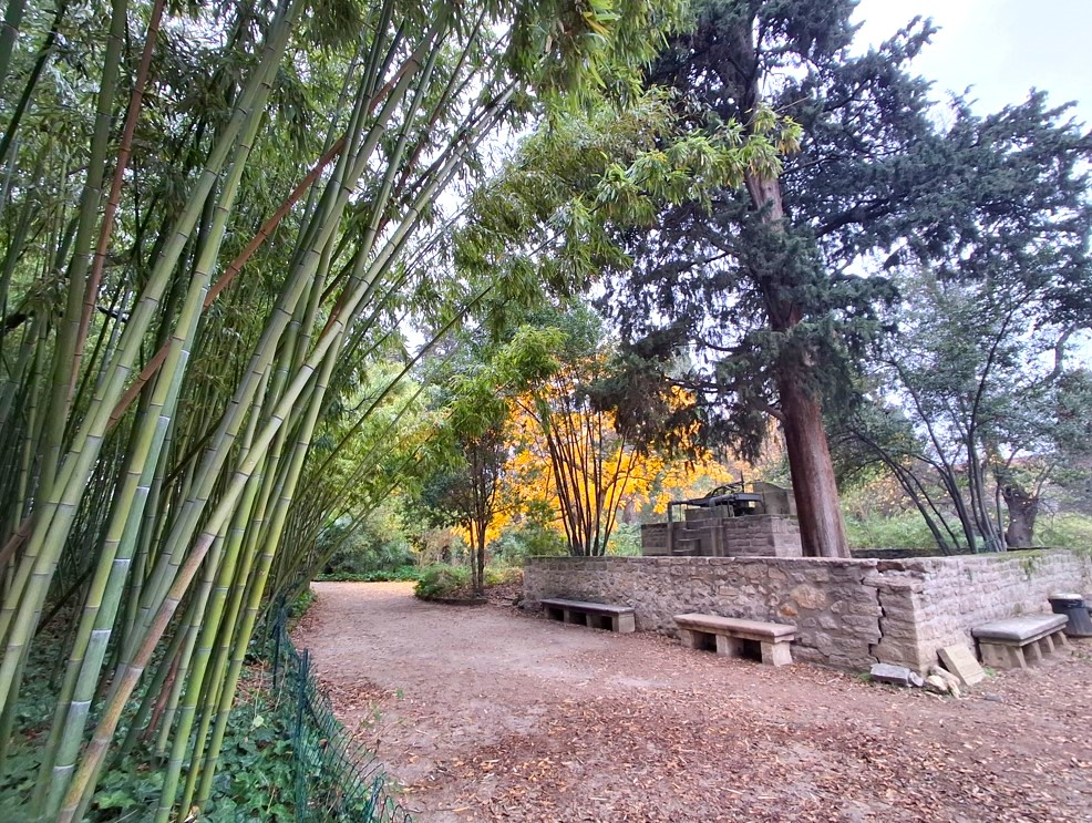 La bambouseraie, cadre romantique