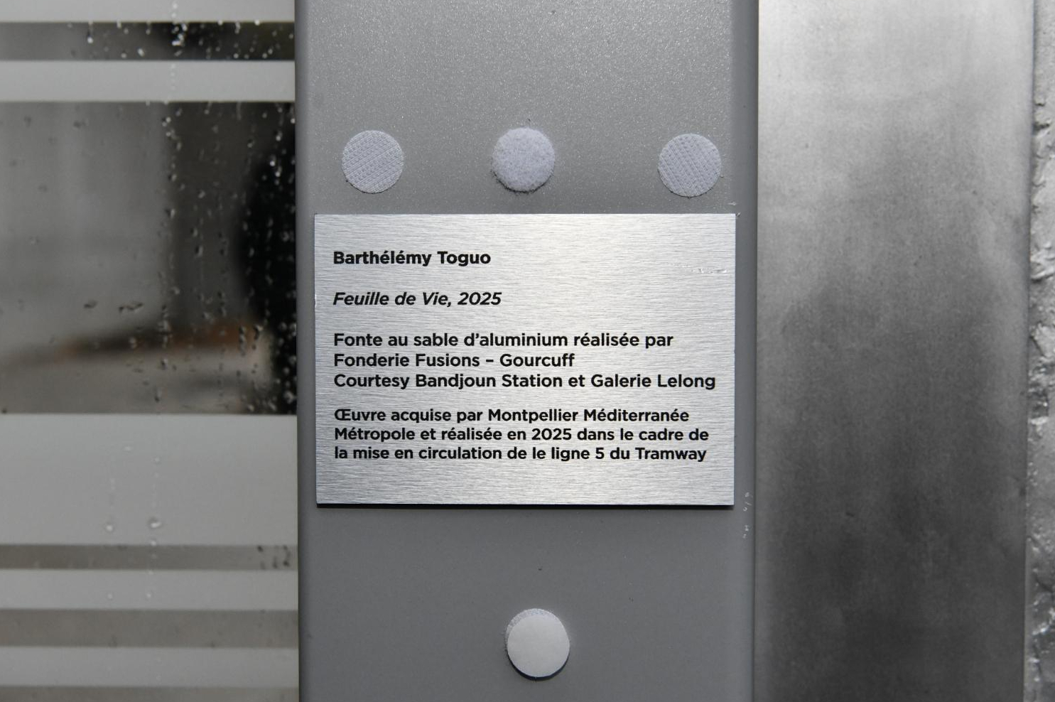 cartel de l'oeuve de Barthélémy Toguo apposée sur la station de tramway de la ligne 5 