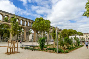 arceaux place Max Rouquette végétalisée ciel 