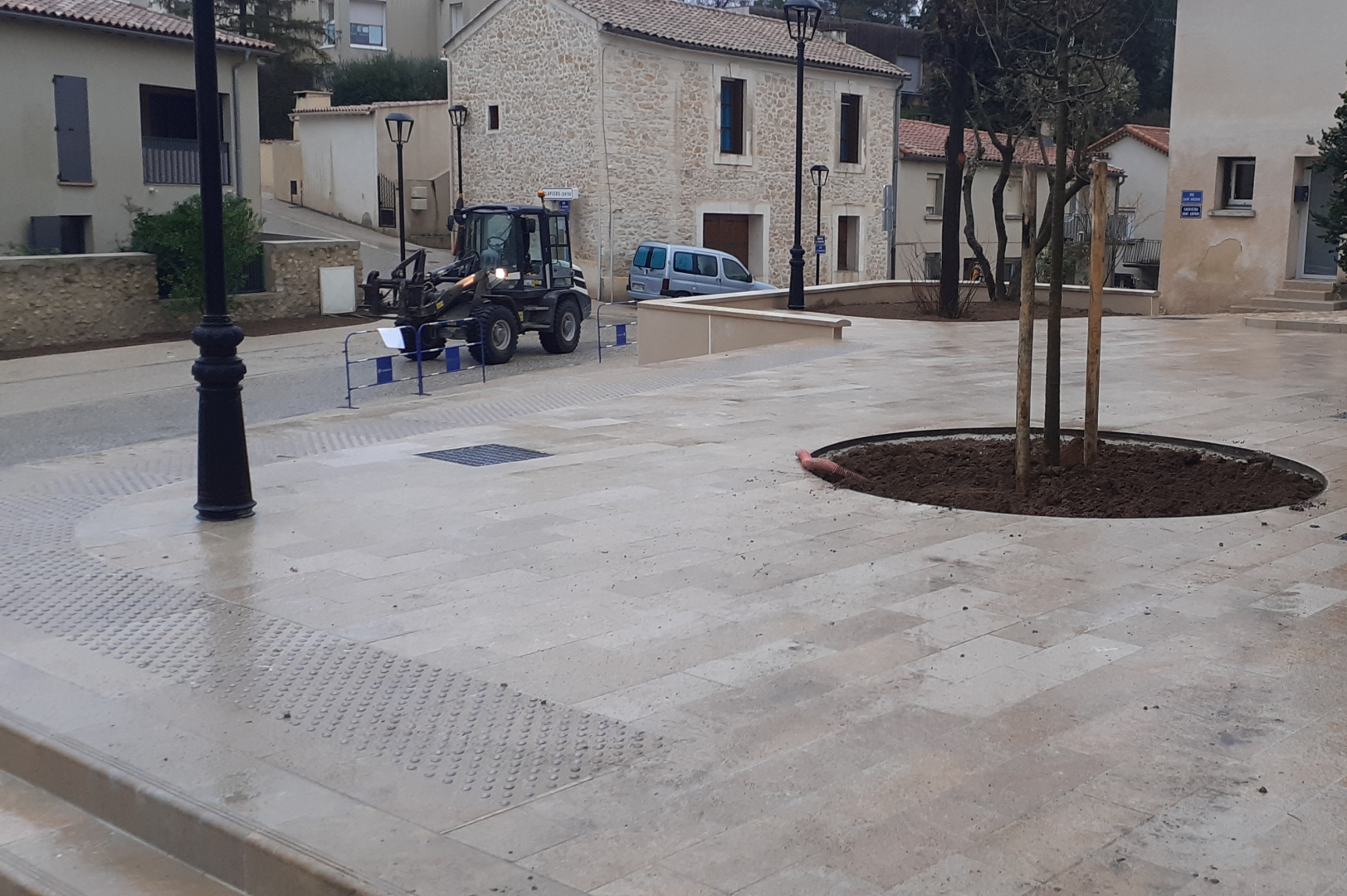 Micocoulier, frêne à fleurs, un sophora du Japo... de nouveaux arbres ont été plantés pour embellir le centre ancien