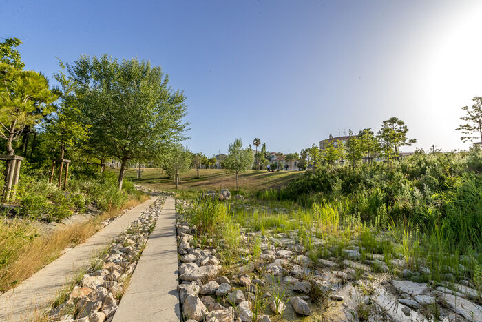 chemin pierres arbres buissons parc René Dumont 