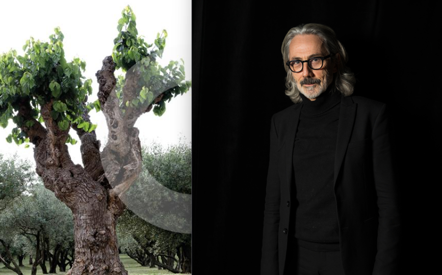 Montage arbre et portrait Eric Bart