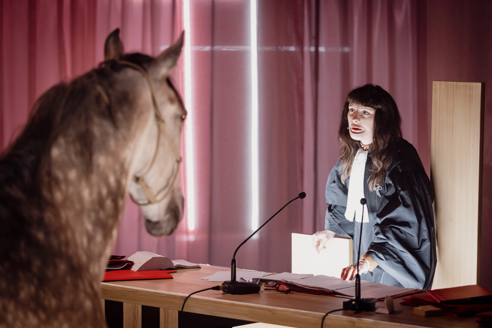 Un cheval comparaît devant un juge