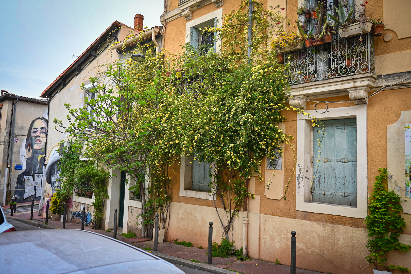 plantes grimpantes sur maisons en ville street art trottoir