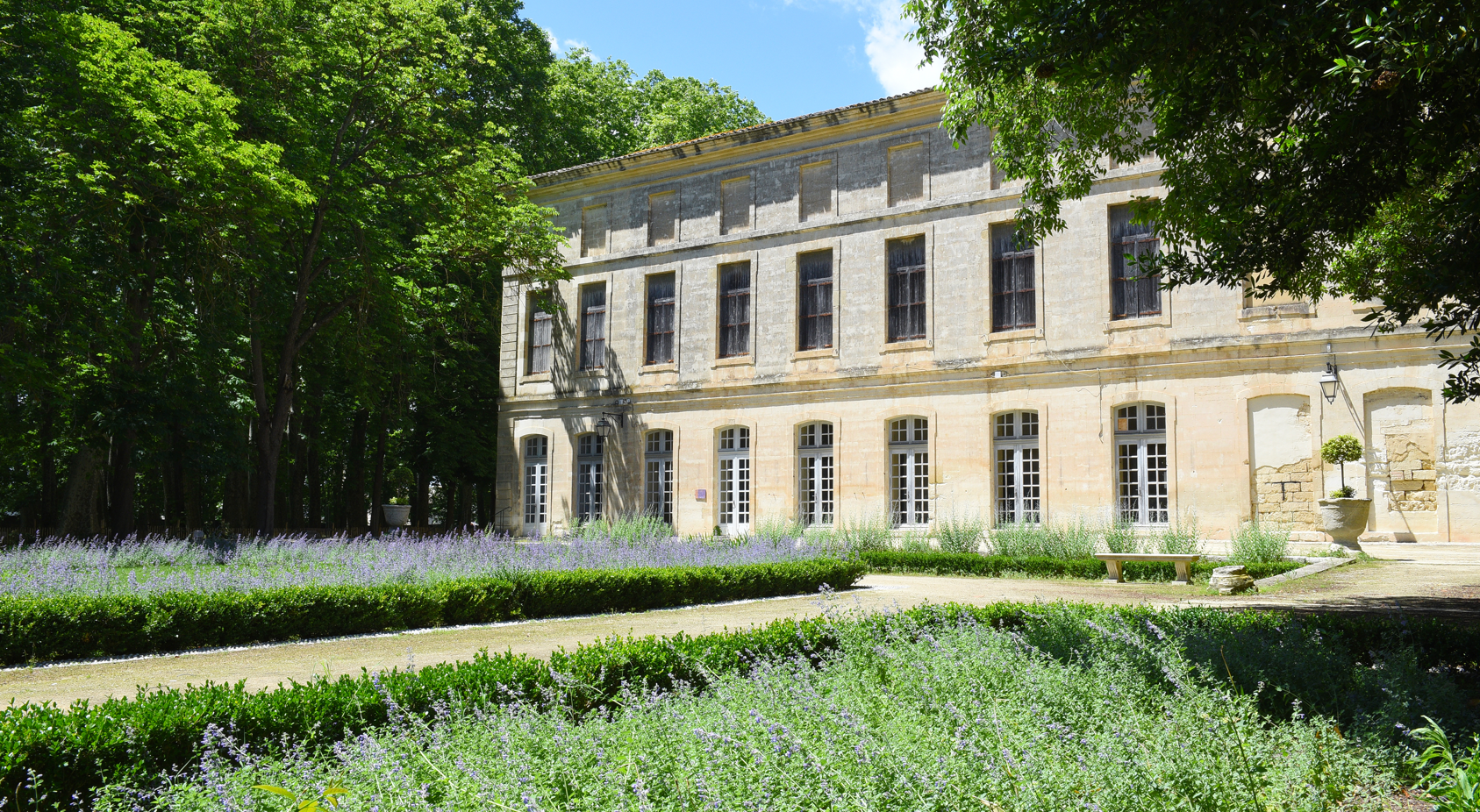 Façade du château devant un champ de lavande