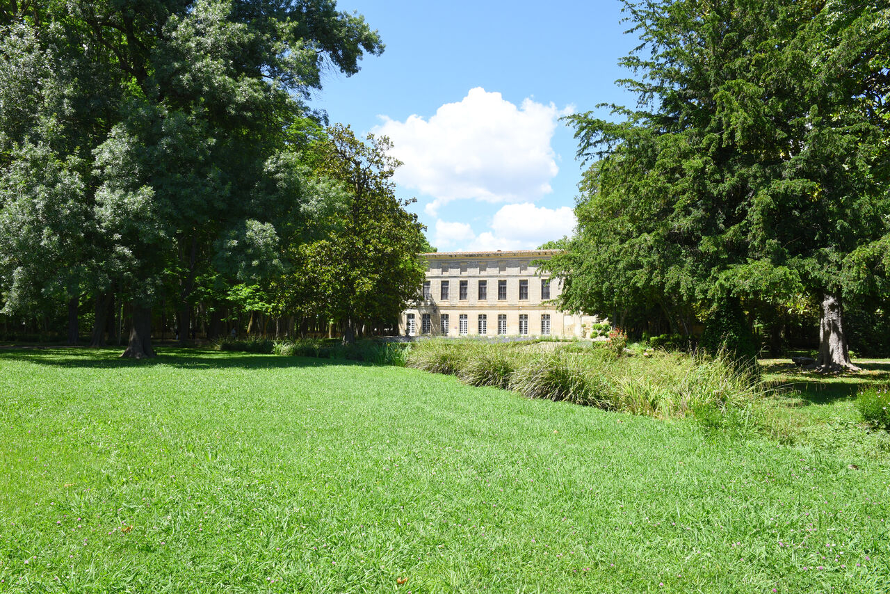 Vue du grand parc avec les arbres