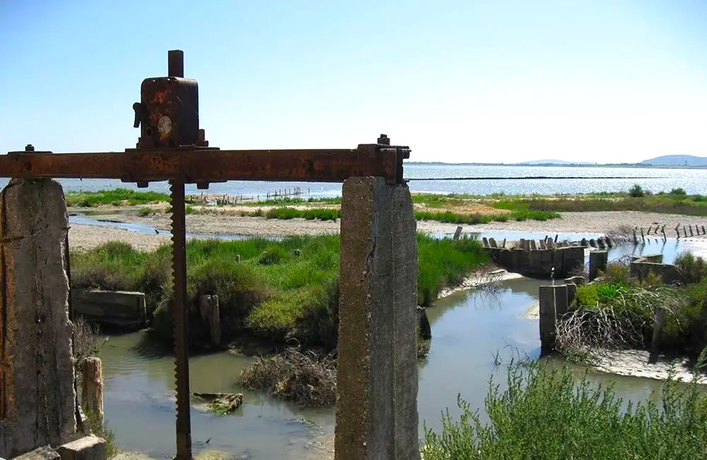 Vue des Salines de Maguelone