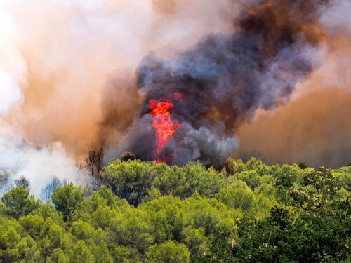 Feu de de garrigue