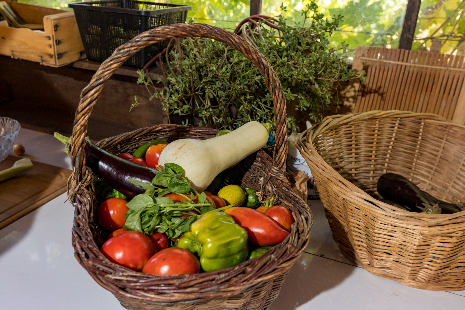 Supermarché coopératif - BoCal