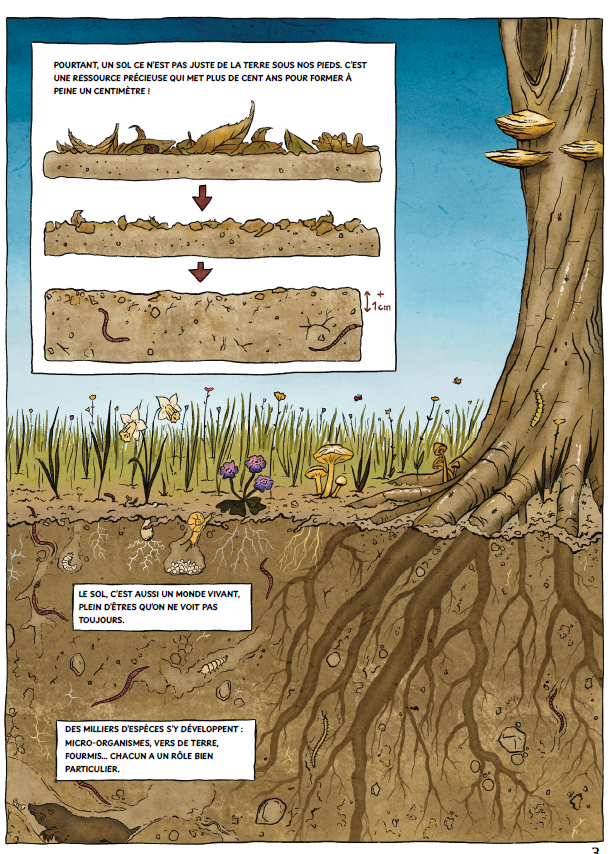 P3 de la BD avec visuels du sol en coupe, v&eacute;g&eacute;taux, racines, micro-organismes