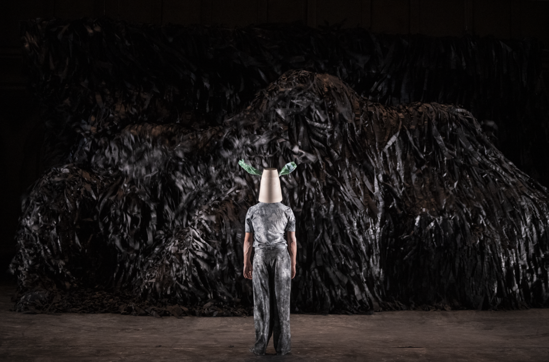 Festival de cirque Lunes