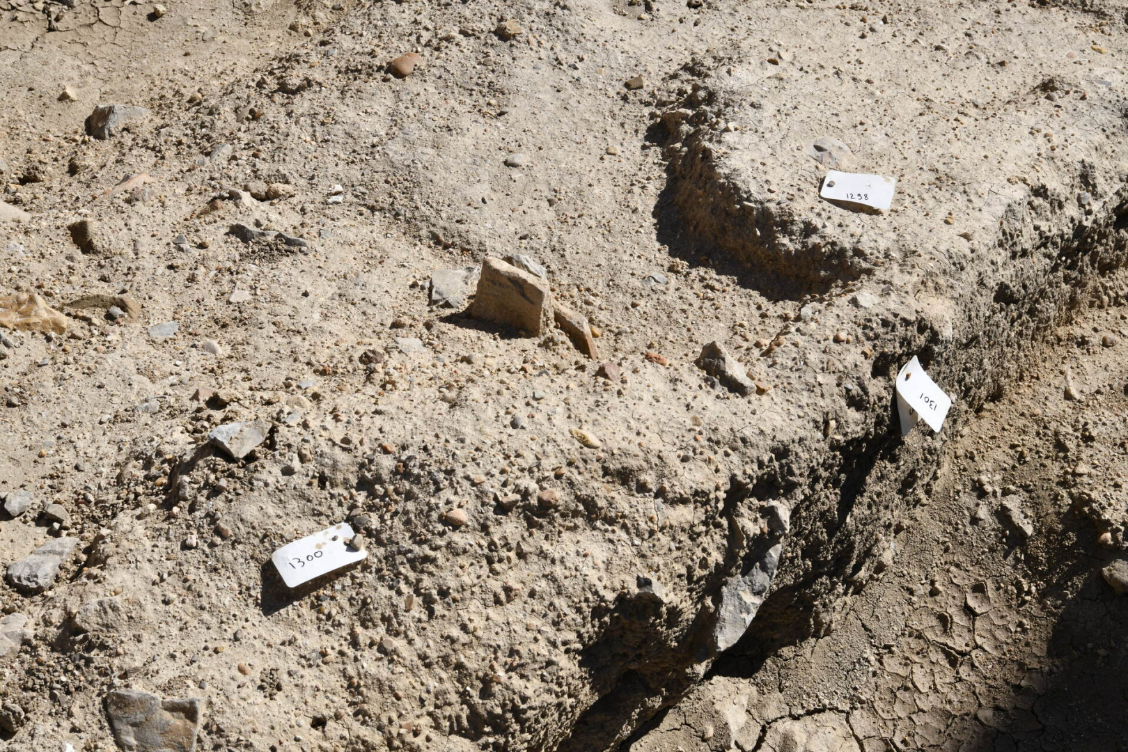 terre, étiquettes, pierre 