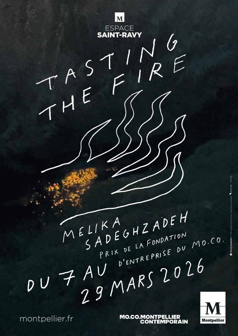 Affiche de l'exposition, des flammes dessinées, comme une main aux cinq doigts menaçants