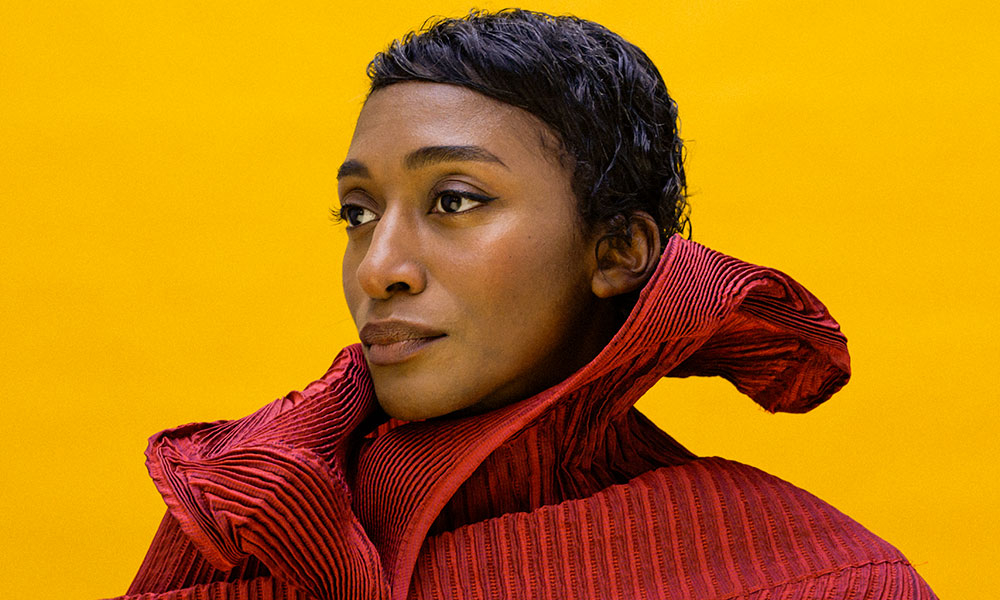 photo de la chanteuse Ala.ni