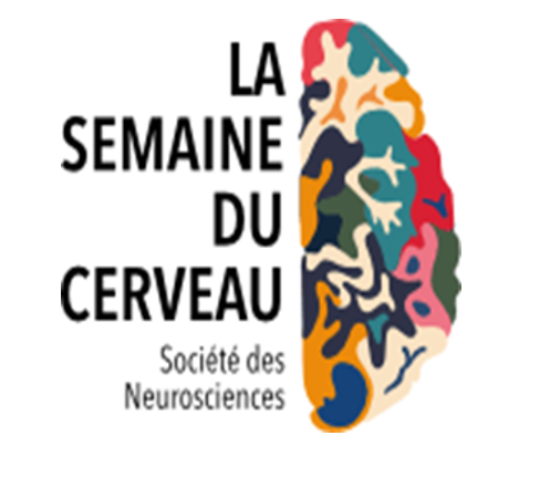 Image semaine du cerveau