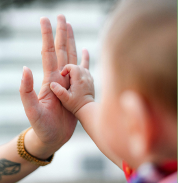 des mains d'adulte et de bébé