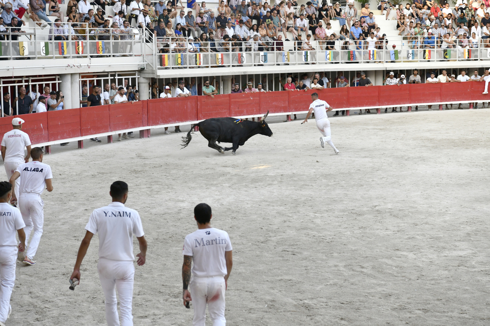 Le Trophée taurin 3M se déroulera dans 13 arènes dont les prestigieuses arènes Francis San Juan de Lunel